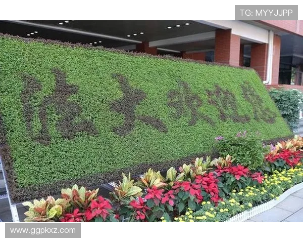 开运体育入口为运动爱好者提供全方位服务，开启健康生活新起点